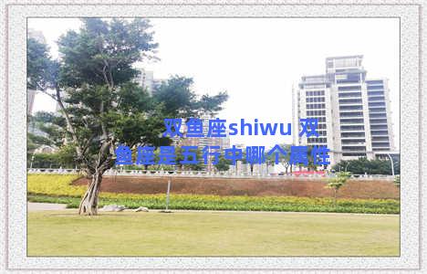 双鱼座shiwu 双鱼座是五行中哪个属性